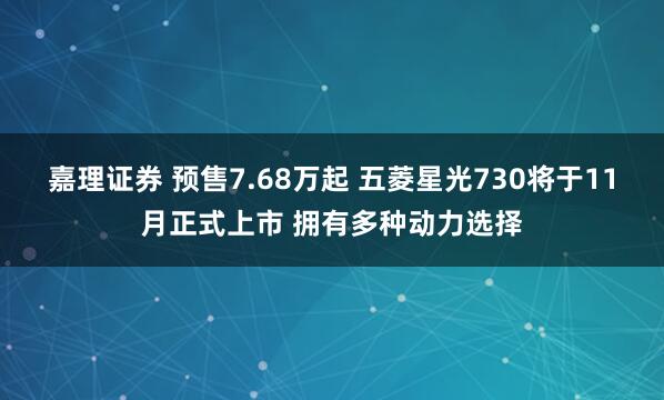 嘉理证券 预售7.68万起 五菱星光730将于11月正式上市 拥有多种动力选择