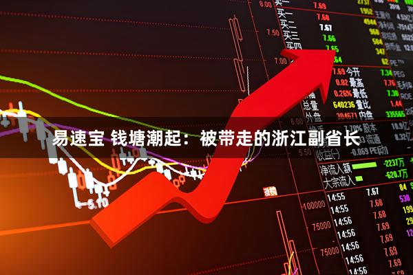 易速宝 钱塘潮起：被带走的浙江副省长