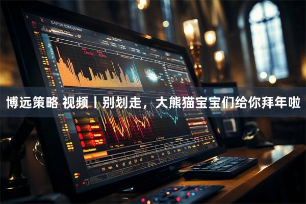 博远策略 视频丨别划走，大熊猫宝宝们给你拜年啦
