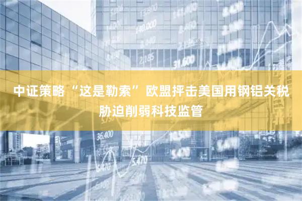 中证策略 “这是勒索” 欧盟抨击美国用钢铝关税胁迫削弱科技监管
