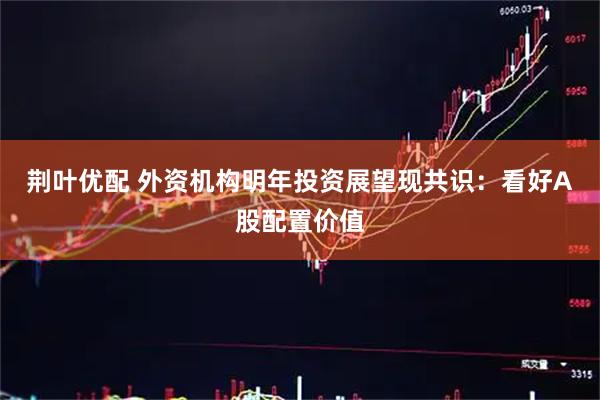 荆叶优配 外资机构明年投资展望现共识：看好A股配置价值